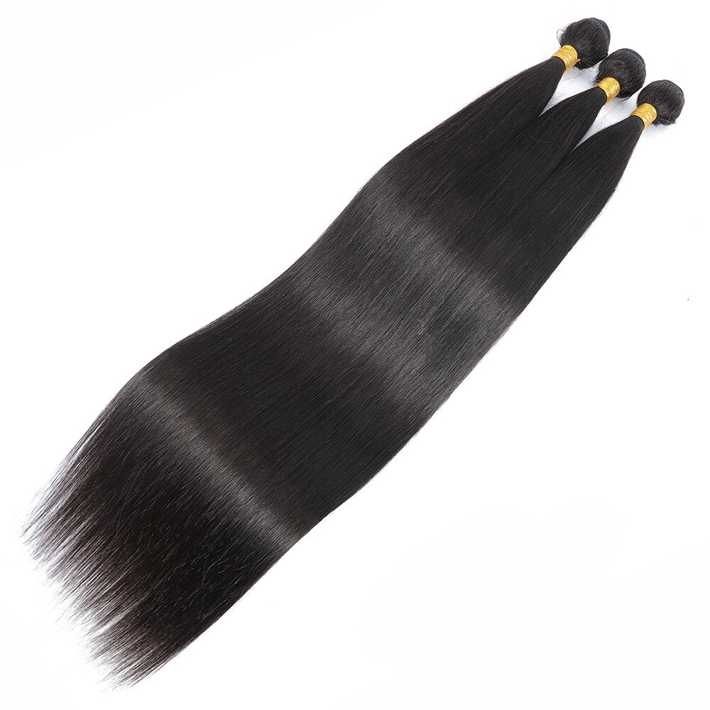 Virgin Straight Hair Bundle with Closure